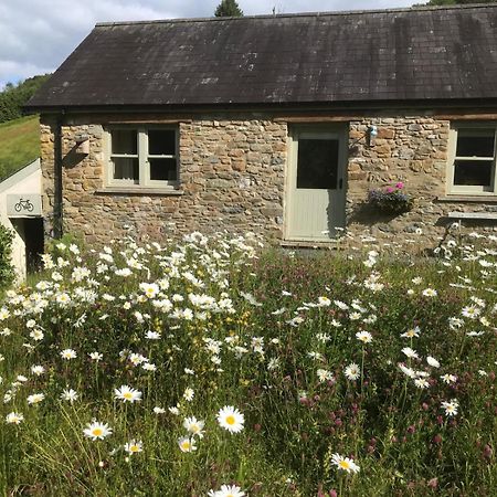 Danygraig Cottage Carmarthen Luaran gambar