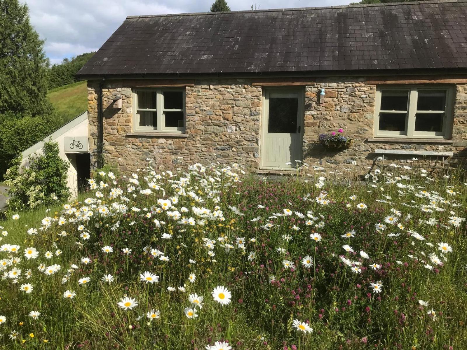 Danygraig Cottage Carmarthen Luaran gambar
