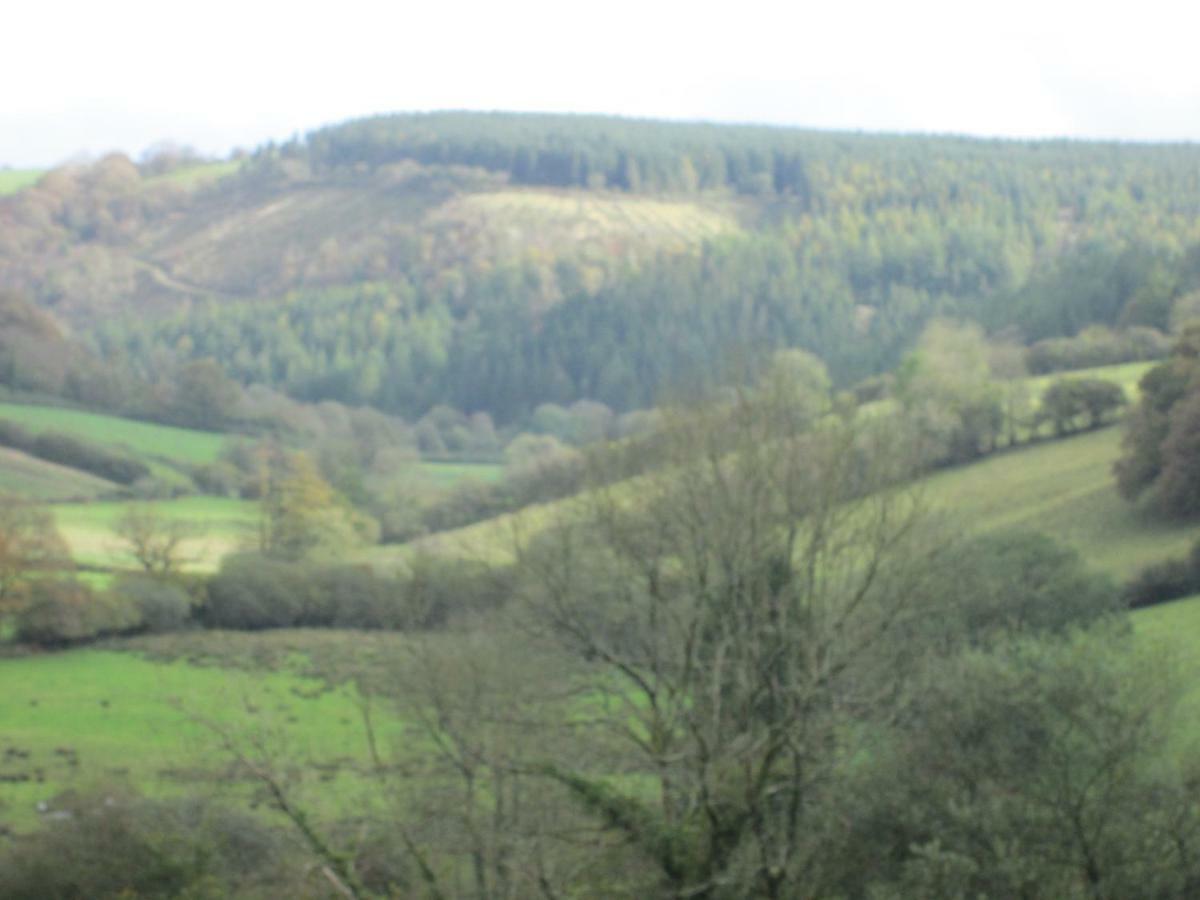 Danygraig Cottage Carmarthen Luaran gambar